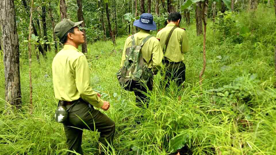 Gói Thầu Mua Trang Phục Kiểm Lâm Tại Đồng Nai: Điều Chỉnh Hsyc Sau Kiến  Nghị | Báo Đấu Thầu