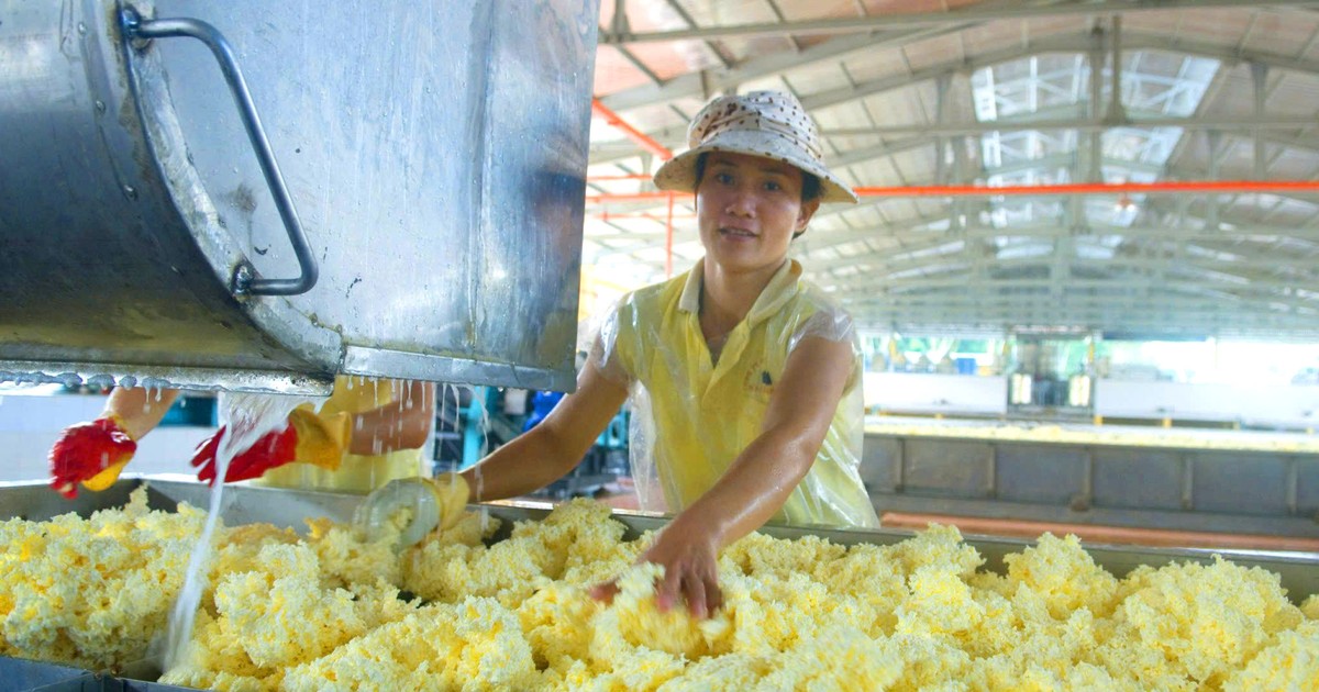 Doanh nghiệp cao su thiên nhiên lãi lớn