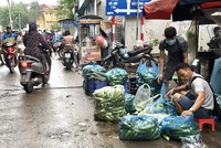 Ảnh Internet