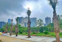 Ảnh minh họa: Internet