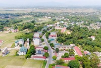 Ảnh chỉ mang tính minh họa. Nguồn Internet