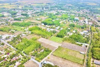 Huyện Hóc Môn muốn đấu giá sớm khu đất 290 ha phát triển đô thị theo mô hình TOD. Ảnh minh họa