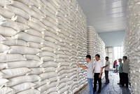 Xuất cấp không thu tiền 668,505 tấn gạo từ nguồn dự trữ quốc gia cho 3 tỉnh: Hà Giang, Tuyên Quang và Bắc Kạn