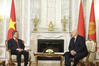 Tổng Bí thư Tô Lâm hội đàm hẹp với Tổng thống Belarus Aleksandr Lukashenko. Ảnh: TTXVN