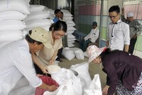 Xuất cấp gạo cho tỉnh Cao Bằng dịp giáp hạt đầu năm 2025