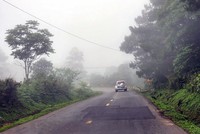 Ảnh chỉ mang tính minh họa. Nguồn Internet