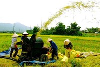 Thành lập Ban Chỉ đạo Trung ương các chương trình mục tiêu quốc gia giai đoạn 2021 - 2025. Ảnh minh họa