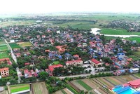 Ảnh chỉ mang tính minh họa. Nguồn Internet