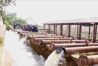 Điểm tin kế hoạch lựa chọn nhà thầu một số gói thầu lớn ngày 5/5/2025