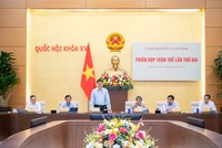 Ủy ban Kinh tế và Tài chính của Quốc hội họp phiên toàn thể lần thứ hai, thẩm tra Dự thảo Nghị quyết của Quốc hội về một số cơ chế, chính sách đặc thù, đặc biệt phát triển kinh tế tư nhân
