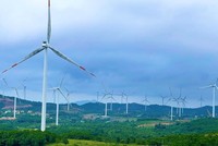 Quảng Trị: 4 nhà đầu tư đăng ký thực hiện Dự án Nhà máy Điện gió SCI Tân Thành