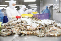 Xuất khẩu nông, lâm, thủy sản tăng 15,1%