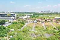 Hệ thống pháp luật liên quan đến đất đai còn thiếu đồng bộ, gây khó khăn trong tổ chức thực thi, nhất là giai đoạn chuyển tiếp. Ảnh: Tiên Giang