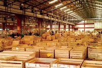 Tổng giá khởi điểm của cả hai nhà máy gỗ là gần 80 tỷ đồng