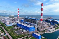 Ảnh chỉ mang tính minh họa. Nguồn Internet