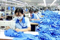 Nhiều doanh nghiệp hưởng lợi từ chính sách giảm, giãn thuế, phí và tiền thuê đất