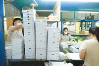 Trong 4 tháng đầu năm 2025, cả nước có hơn 89,9 nghìn doanh nghiệp gia nhập thị trường và 96,5 nghìn doanh nghiệp rút lui khỏi thị trường. Ảnh: Lê Tiên
