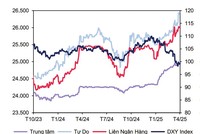 Biến động tỷ giá USD/VND.