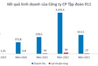 Nguồn: Báo cáo tài chính kiểm toán của Tập đoàn 911. Đơn vị tính: tỷ đồng