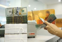 Tỷ giá USD/VND tiếp tục chịu áp lực gia tăng khi nhu cầu ngoại tệ lên cao trong mùa cao điểm nhập khẩu. Ảnh: Tiên Giang