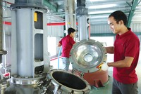 Trong tháng 6/2025, lần đầu tiên số doanh nghiệp thành lập mới trong một tháng đạt mức kỷ lục hơn 24.400 doanh nghiệp. Ảnh: Tiên Giang