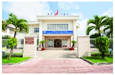 Ngày 17/12/2019, đấu giá lô vật tư thu hồi các loại tại tỉnh Bình Dương