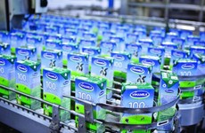 Kế hoạch ESOP của VNM “lên bàn” Bộ Tài chính