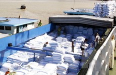 Vận chuyển gạo xuất khẩu. (Nguồn: TTXVN)