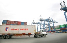 Về hợp đồng tương tự, HSMT yêu cầu nhà thầu có tối thiểu 1 hợp đồng thi công công trình đường bãi container có giá trị tối thiểu là 21,5 tỷ đồng. Ảnh: Minh Khuê
