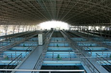 Ảnh minh họa: Internet