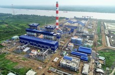 Ảnh chỉ mang tính minh họa. Nguồn Internet