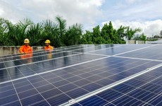 Ảnh chỉ mang tính minh họa. Nguồn Internet