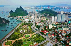 Ảnh chỉ mang tính minh họa. Nguồn Internet