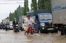 Ảnh minh họa: Internet