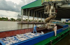 Năm 2022, DCM đặt mục tiêu lợi nhuận hơn 513 tỷ đồng