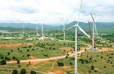 Nhiều doanh nghiệp điện gió, điện mặt trời không đáp ứng được nghĩa vụ thanh toán trái phiếu đến hạn. Ảnh minh họa: Nhã Chi