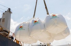 LTG lãi 343,4 tỷ đồng trong nửa đầu năm 2023