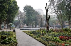 Gói thầu: Thi công xây dựng