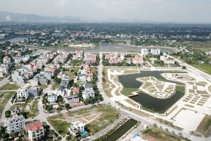 Ảnh chỉ mang tính minh họa. Nguồn Internet