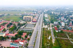 Ảnh chỉ mang tính minh họa. Nguồn Internet