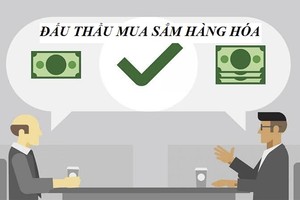 Tồn tại vướng mắc trong đấu thầu mua sắm hàng hóa