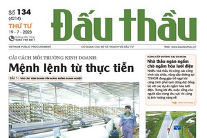 Báo Đấu thầu số 134 ra ngày 19/7/2023