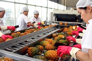 Quảng Trị chấp thuận nhà đầu tư nhà máy chế biến nông sản tại huyện Cam Lộ