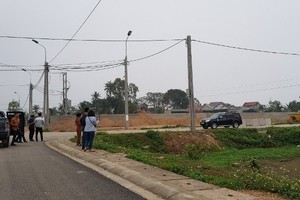 Ảnh chỉ mang tính minh họa. Nguồn Internet