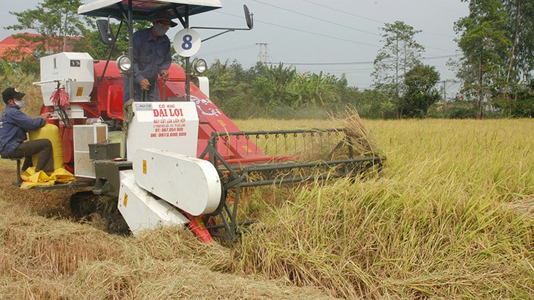 Bộ KH&ĐT chủ trì, phối hợp với các bộ, ngành...rà soát, điều chỉnh, bổ sung Quy hoạch phát triển KTXH vùng ĐBSCL Ảnh: Tường Lâm