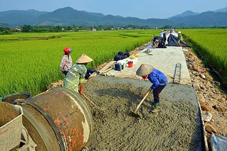 Hậu Giang cần hơn 12.000 tỷ đồng xây dựng nông thôn mới. Ảnh minh họa: TTXVN