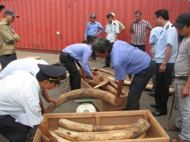 Sừng tê giác luôn là mặt hàng nóng trong công tác chống buôn lậu