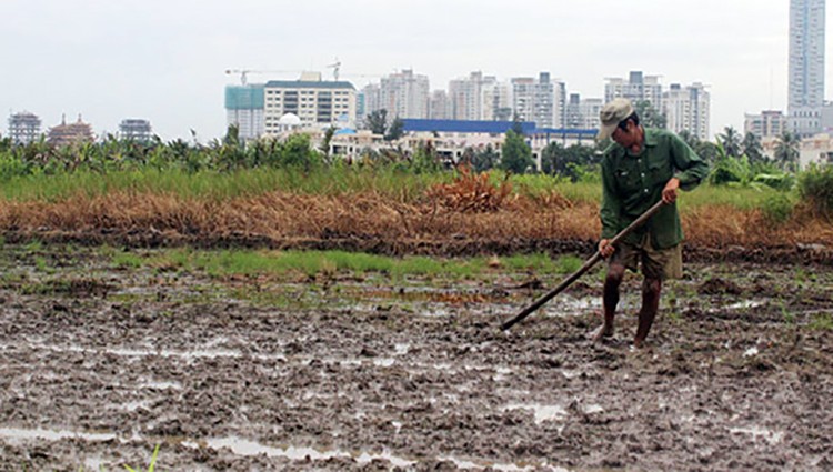 25 năm quy hoạch dự án, 3.100 hộ dân phải sống cảnh khó khăn vì dự án bị “lãng quên”.