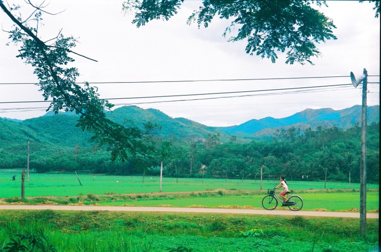 Ảnh minh họa