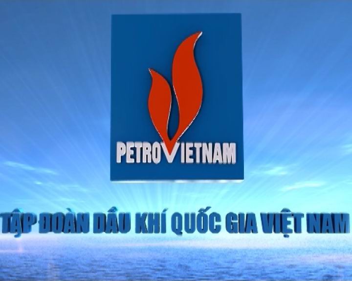 Hoàn thiện Điều lệ tổ chức và hoạt động của PVN